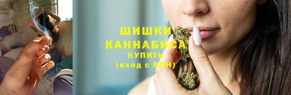 спиды Богородицк