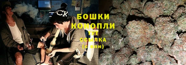 спиды Богородицк