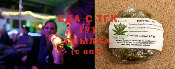 спиды Богородицк