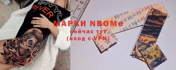 спиды Богородицк